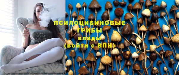СК Алексеевка