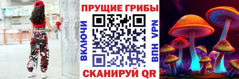 что такое   Красково  Галлюциногенные грибы MAGIC MUSHROOMS 